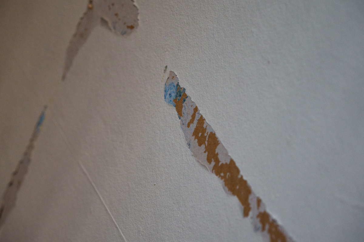 Flood Cleanup service in Twin Falls, ID